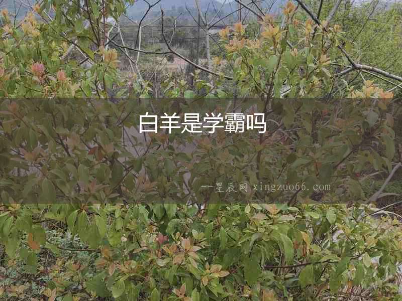 白羊是學霸嗎