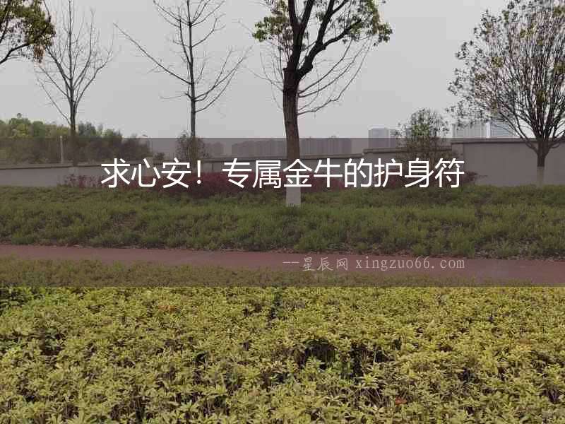 求心安！專屬金牛的護身符