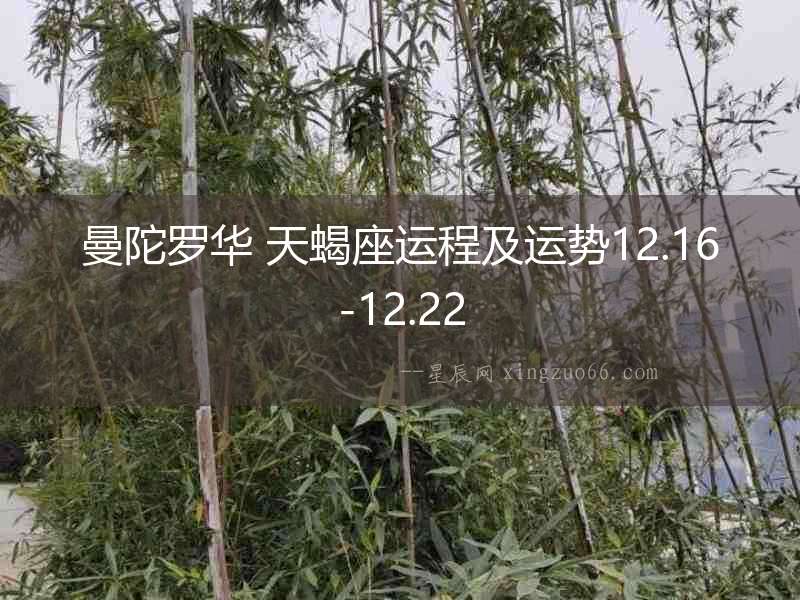 曼陀羅華 天蝎座運程及運勢12.16-12.22