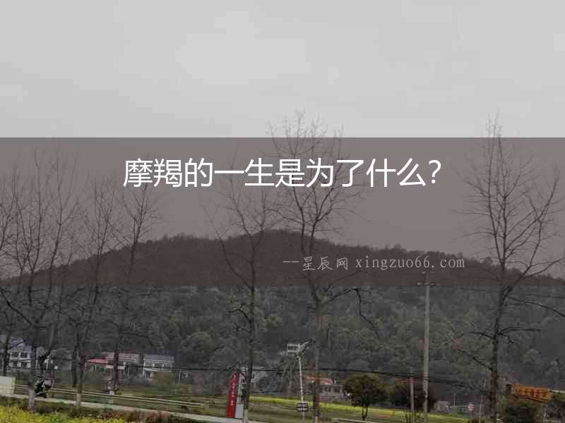 摩羯的一生是為了什么？