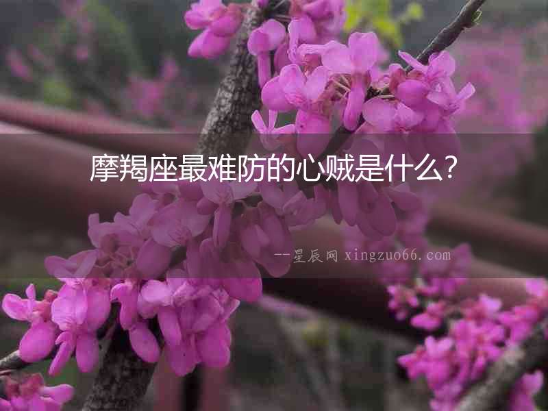 摩羯座最難防的心賊是什么？