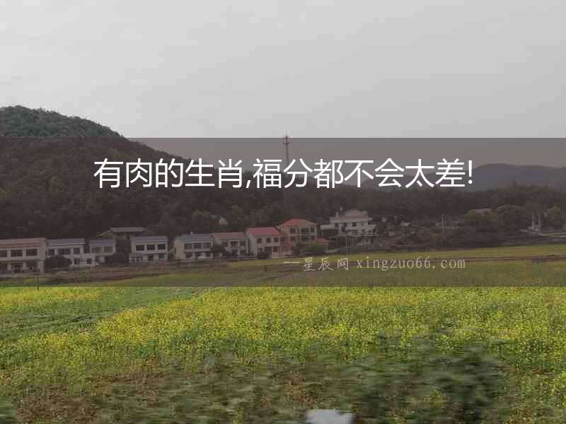 有肉的生肖,福分都不會太差!