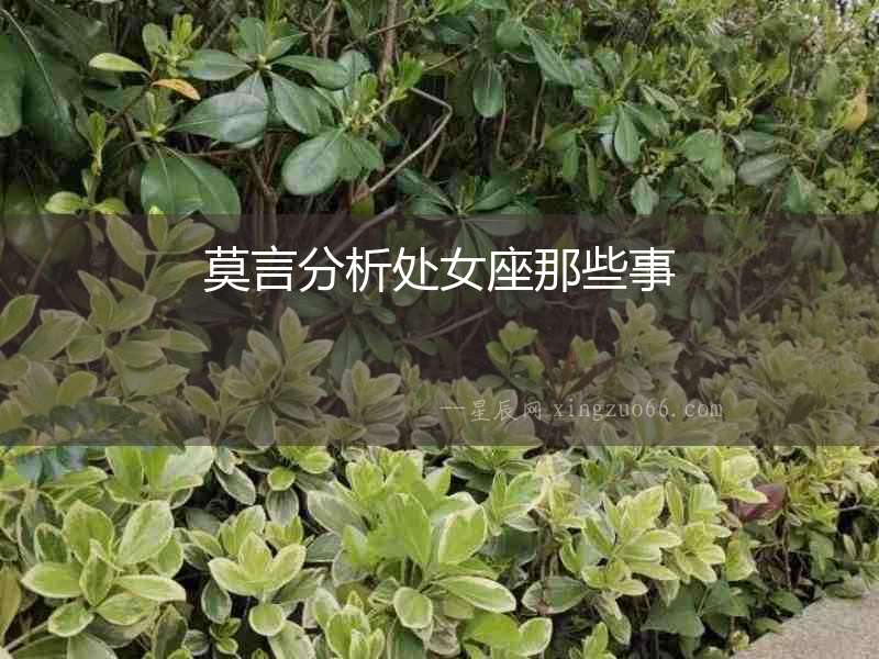 莫言分析處女座那些事