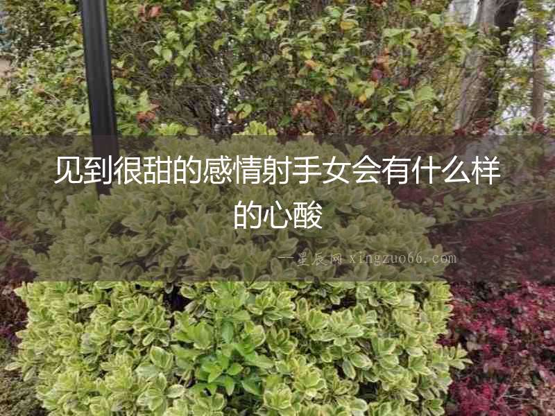 見到很甜的感情射手女會有什么樣的心酸