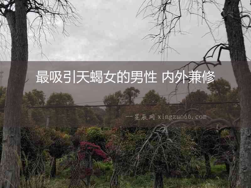 最吸引天蝎女的男性 內(nèi)外兼修