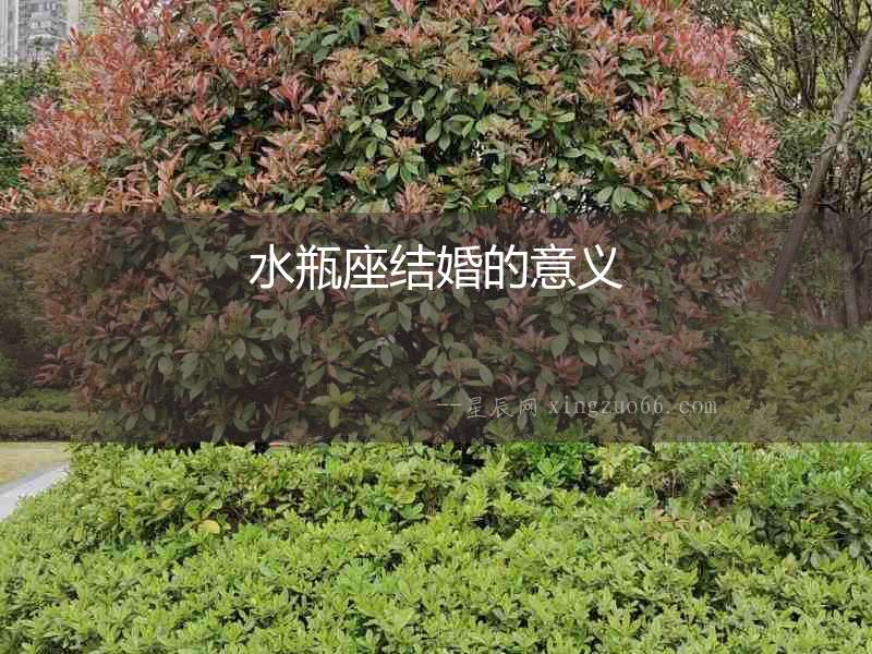 水瓶座結(jié)婚的意義