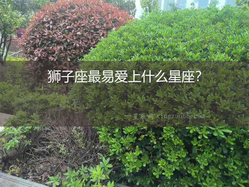 獅子座最易愛上什么星座？