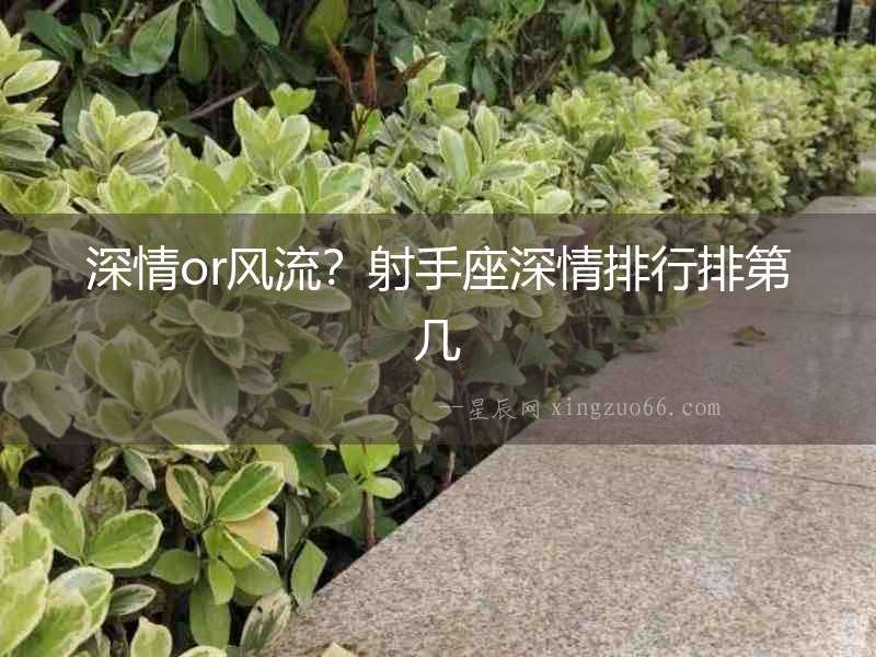 深情or風流？射手座深情排行排第幾