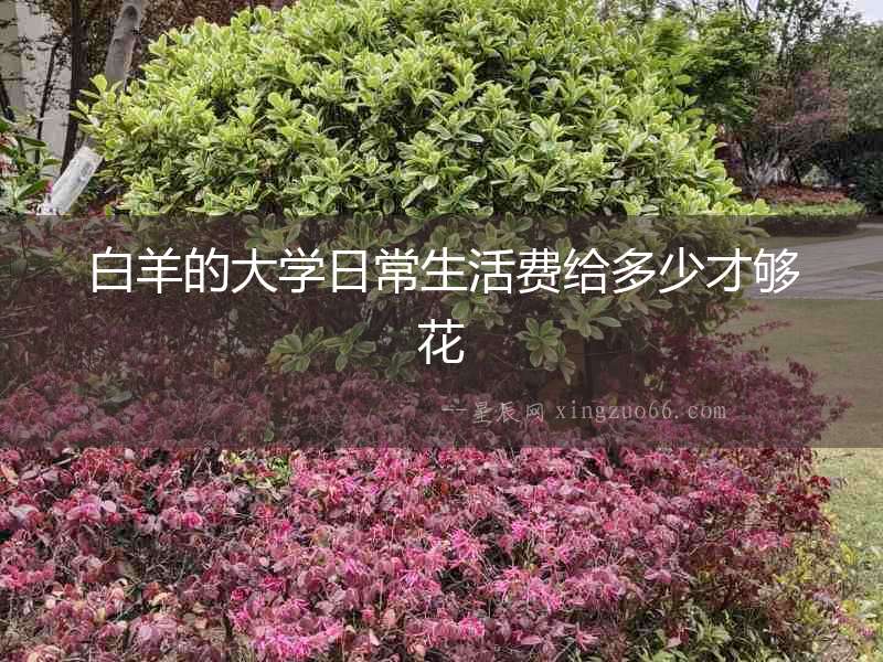 白羊的大學日常生活費給多少才夠花