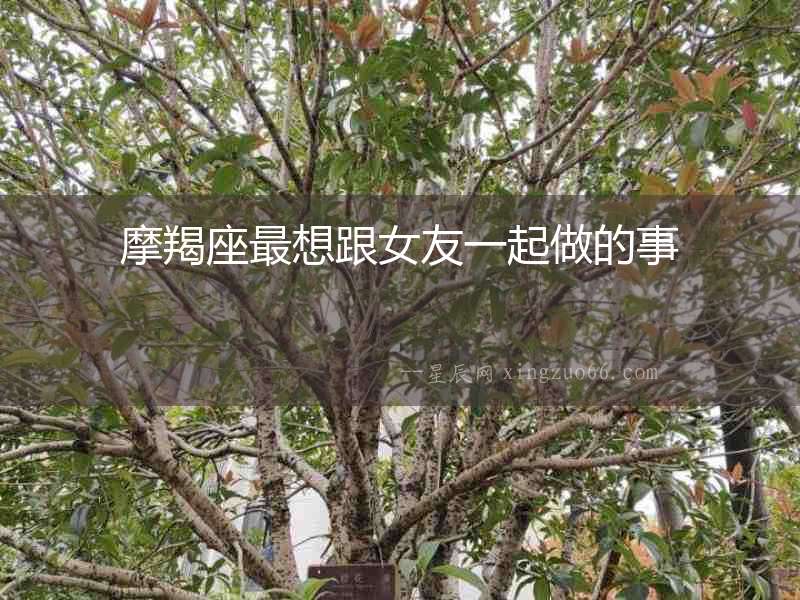 摩羯座最想跟女友一起做的事