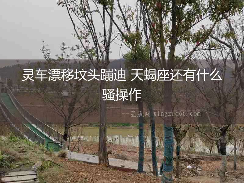 靈車漂移墳頭蹦迪 天蝎座還有什么騷操作