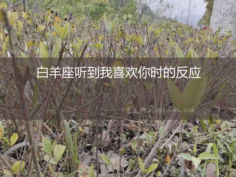 白羊座聽到我喜歡你時(shí)的反應(yīng)