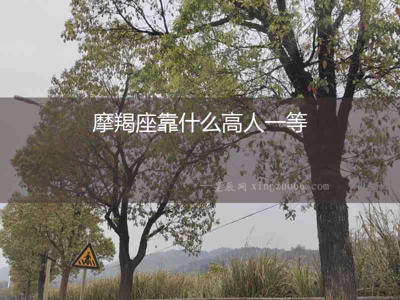 摩羯座靠什么高人一等