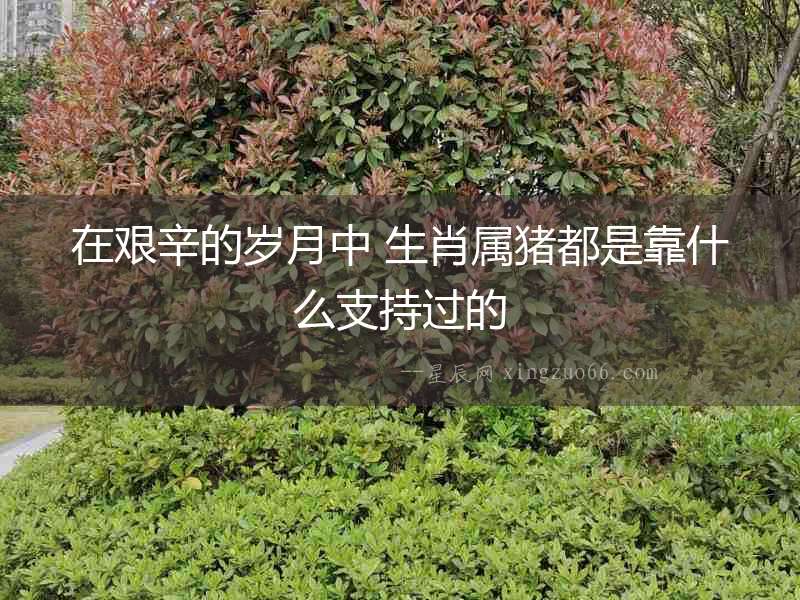 在艱辛的歲月中 生肖屬豬都是靠什么支持過的