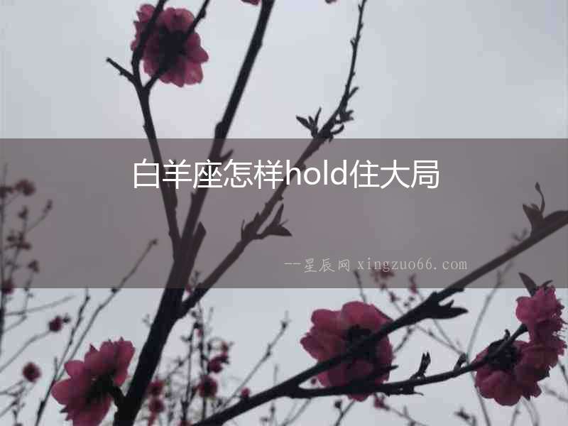 白羊座怎樣hold住大局