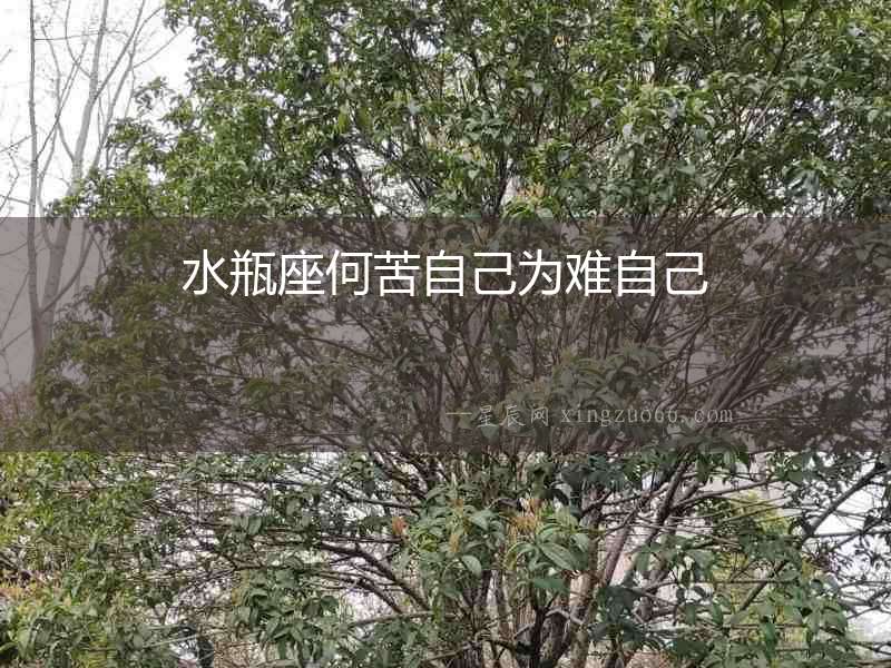 水瓶座何苦自己為難自己