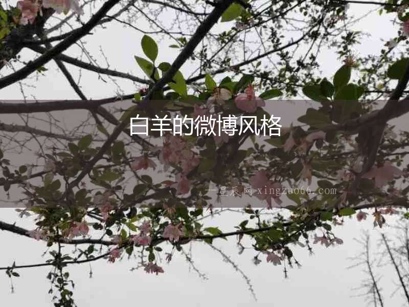 白羊的微博風(fēng)格