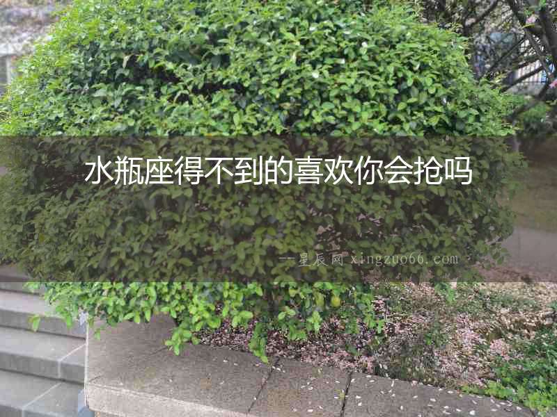 水瓶座得不到的喜歡你會搶嗎