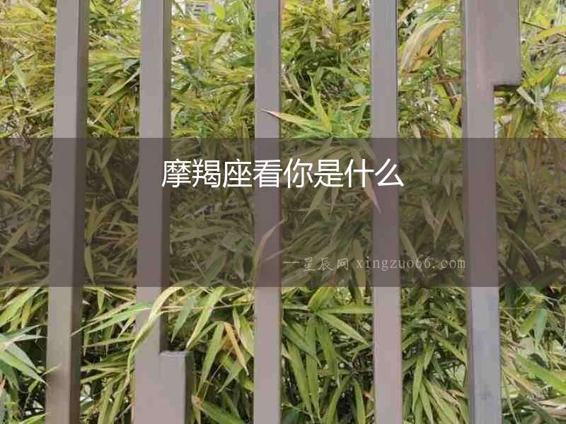 摩羯座看你是什么