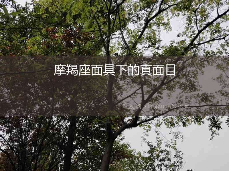 摩羯座面具下的真面目