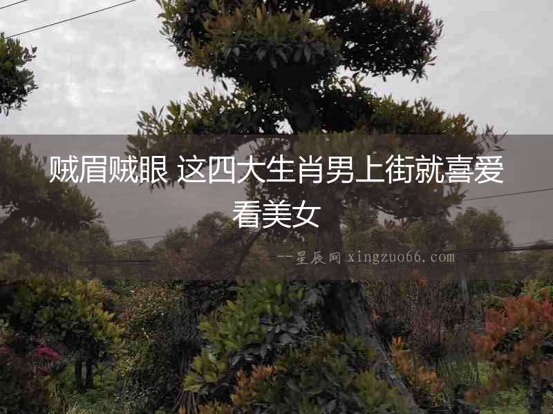 賊眉賊眼 這四大生肖男上街就喜愛看美女