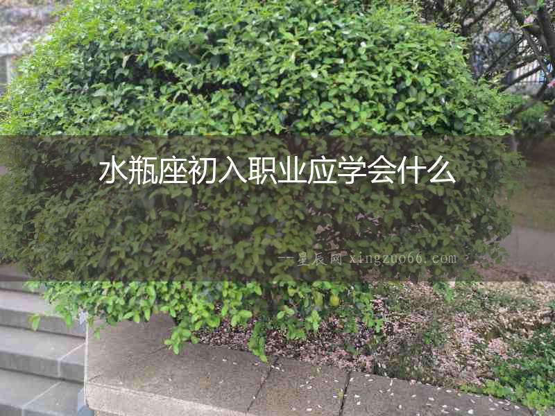 水瓶座初入職業應學會什么