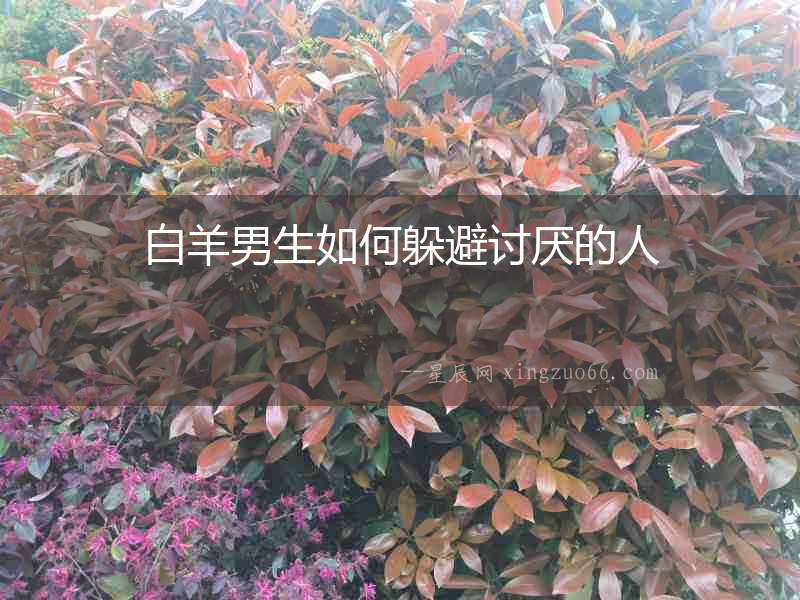 白羊男生如何躲避討厭的人