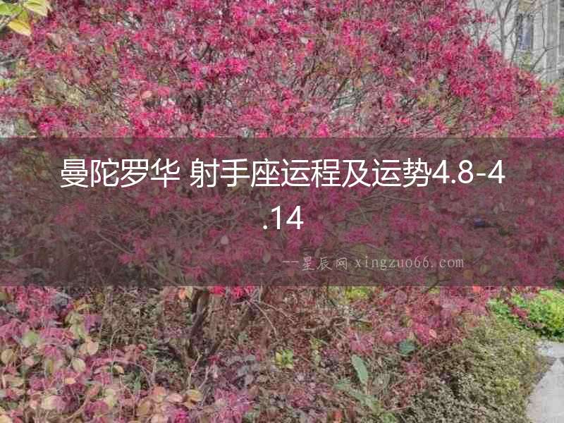 曼陀羅華 射手座運程及運勢4.8-4.14