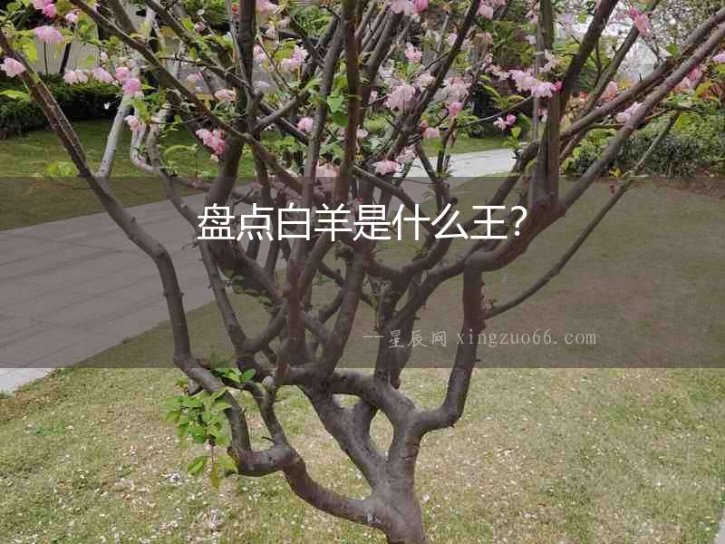 盤點白羊是什么王？