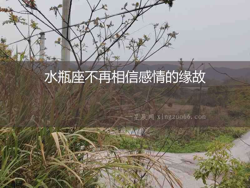 水瓶座不再相信感情的緣故
