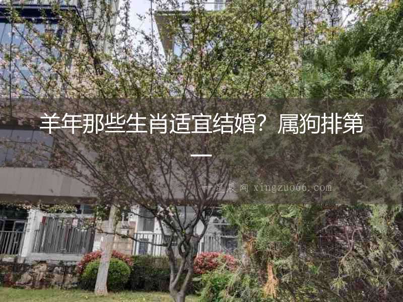 羊年那些生肖適宜結婚？屬狗排第一