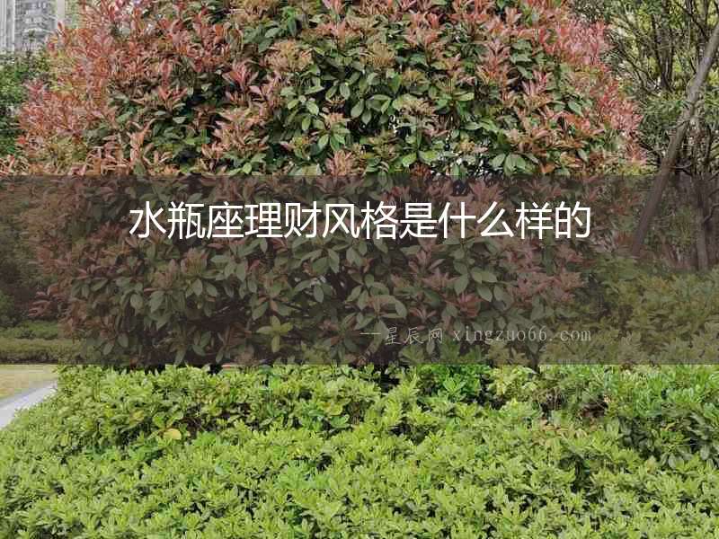 水瓶座理財風格是什么樣的