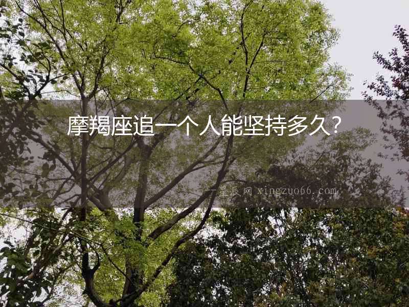 摩羯座追一個(gè)人能堅(jiān)持多久？