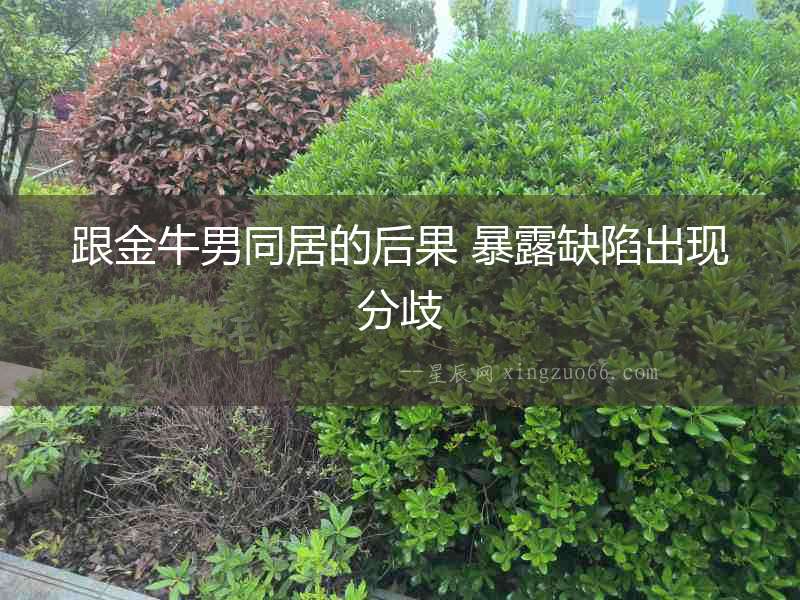 跟金牛男同居的后果 暴露缺陷出現分歧