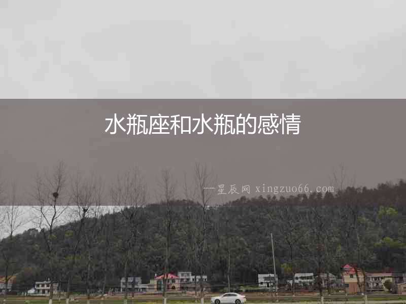 水瓶座和水瓶的感情