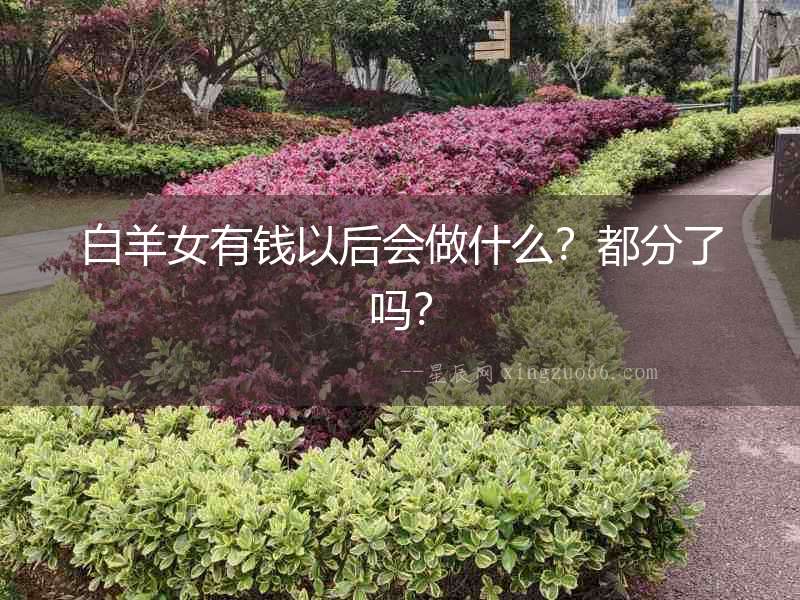 白羊女有錢以后會做什么？都分了嗎？