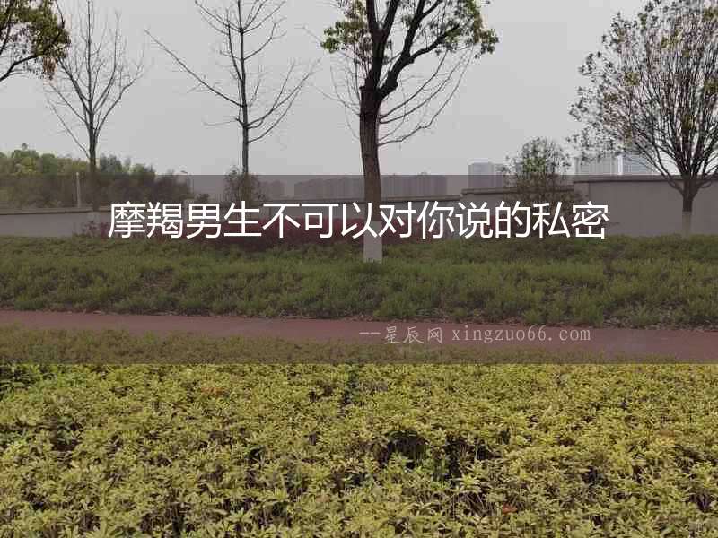 摩羯男生不可以對你說的私密