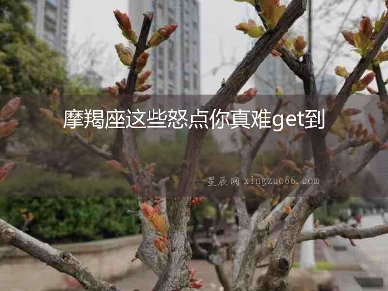 摩羯座這些怒點(diǎn)你真難get到
