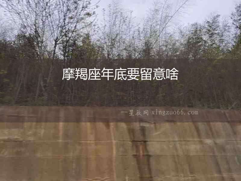 摩羯座年底要留意啥