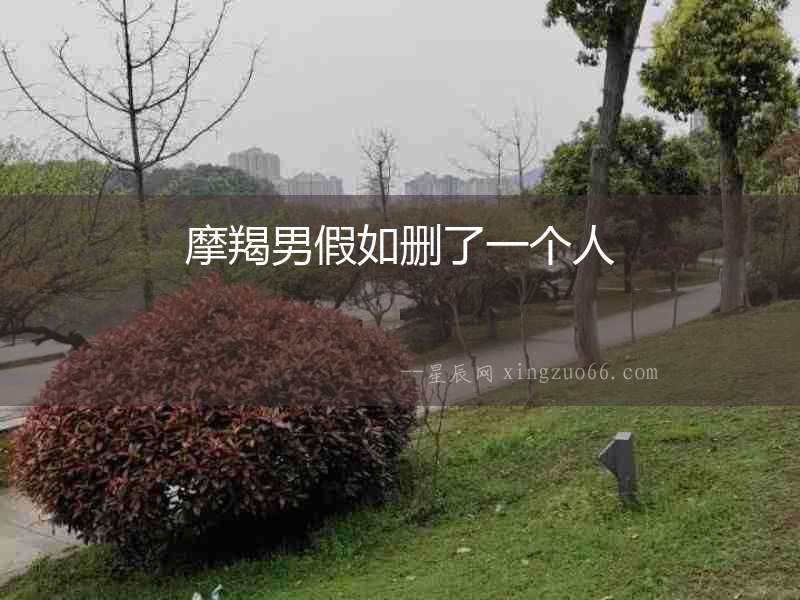 摩羯男假如刪了一個人