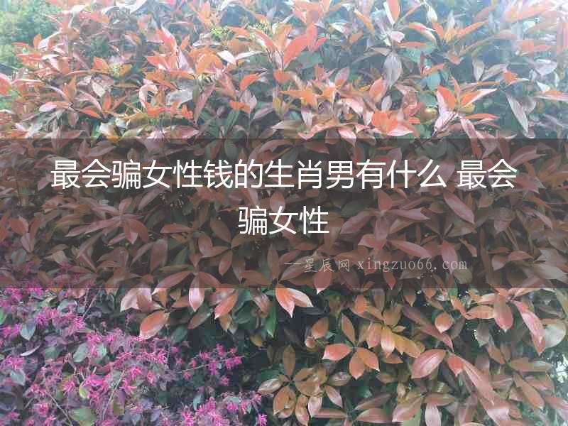 最會騙女性錢的生肖男有什么 最會騙女性