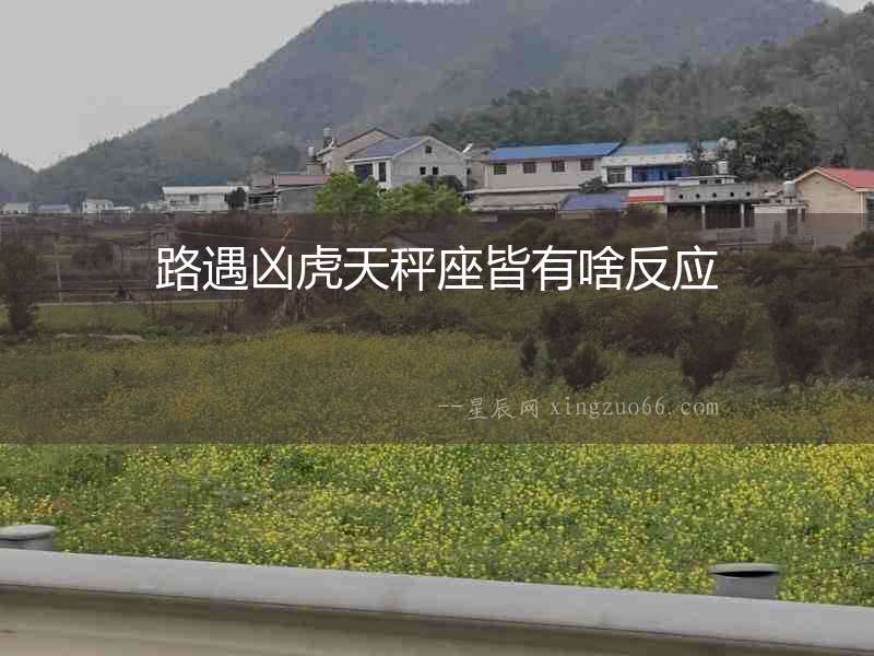 路遇兇虎天秤座皆有啥反應