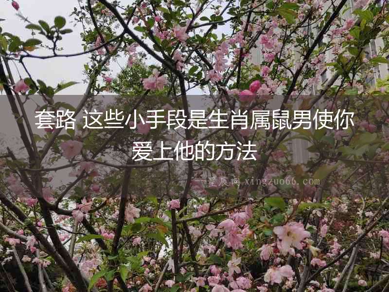 套路 這些小手段是生肖屬鼠男使你愛上他的方法