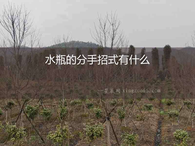 水瓶的分手招式有什么