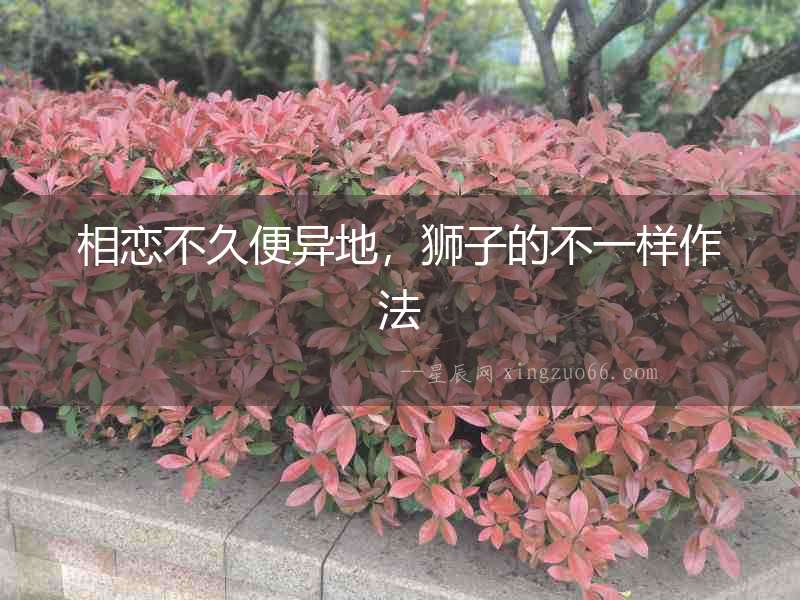 相戀不久便異地，獅子的不一樣作法