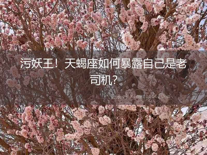 污妖王！天蝎座如何暴露自己是老司機(jī)？