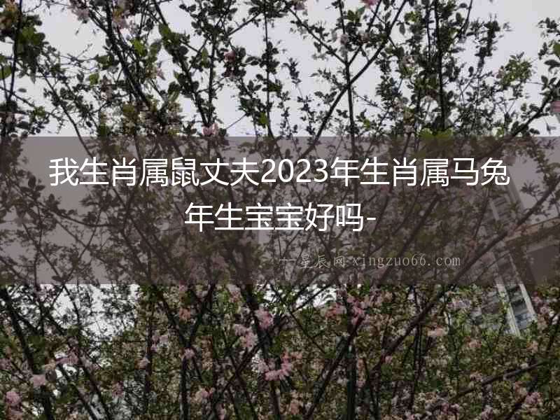 我生肖屬鼠丈夫2023年生肖屬馬兔年生寶寶好嗎-