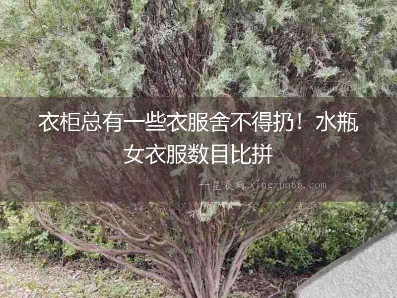 衣柜總有一些衣服舍不得扔！水瓶女衣服數目比拼