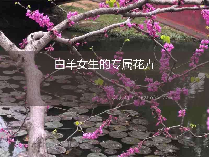 白羊女生的專屬花卉