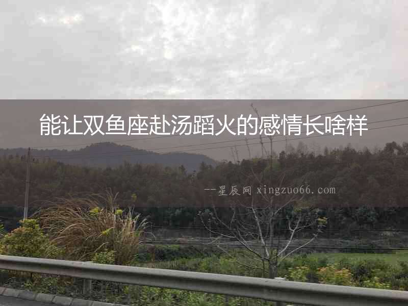 能讓雙魚座赴湯蹈火的感情長啥樣